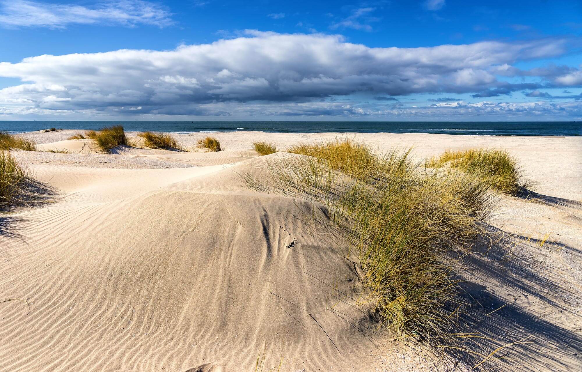 Fiets huren - zeeuwse-duinen